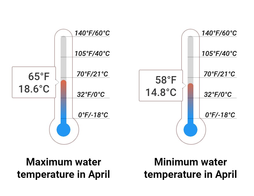 Average Sea temperature